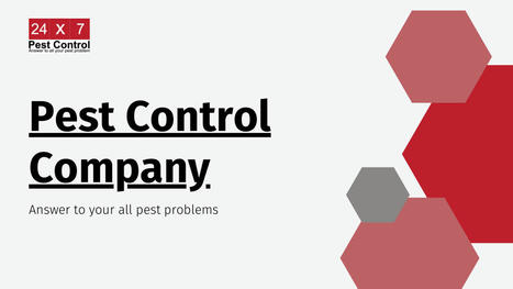 Pest Control Company | Pest Control Services | Scoop.it