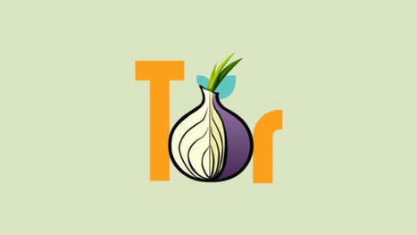 logiciel Gratuit 2022 : Comment bien utiliser le navigateur Tor | Logiciel Gratuit Licence Gratuite | Scoop.it