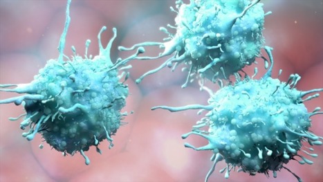 Vaccine Makers | H&eacute;sitations Vaccinales: Observatoire HESIVAXs | Scoop.it