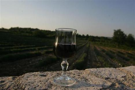 Tullins | Les vins et le terroir sont à l’honneur | Made in isere - 7 en 38 | Scoop.it