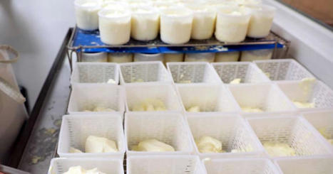 Listériose : rappel de fromages brie et coulommiers de la marque Graindorge | Toxique, soyons vigilant ! | Scoop.it