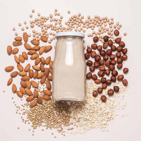 Plant-Based Labels in Flux: US & EU Developments | IPCI : Ingénierie de Produits à l'interface Cuisine-Industrie | Scoop.it