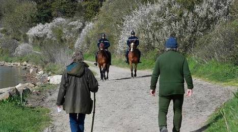 Coronavirus : Quelles seront les règles de sécurité à respecter pour reprendre la randonnée et le trail ? | Vallées d'Aure & Louron - Pyrénées | Scoop.it