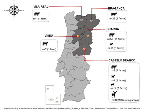 Evidence of Crimean–Congo Hemorrhagic Fever Virus in Livestock and Wildlife in Northeastern Portugal  | Virus World | Scoop.it