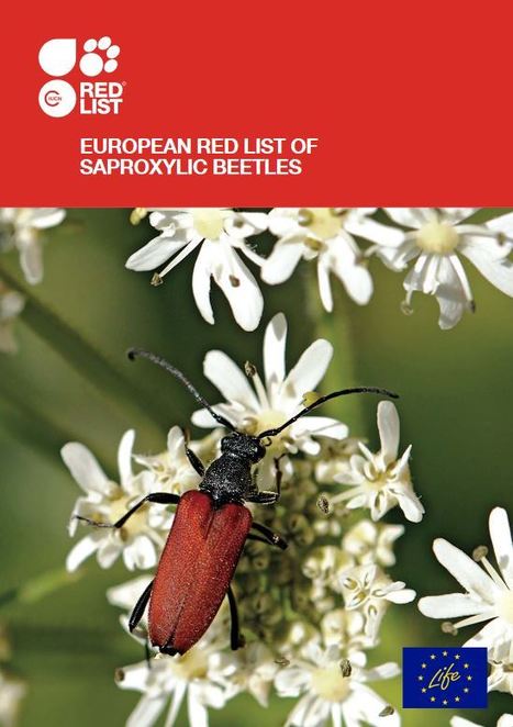 Liste rouge européenne des coléoptères saproxyliques 2018 / Loss of old trees threatens survival of wood-dependent beetles –  Red List | Insect Archive | Scoop.it