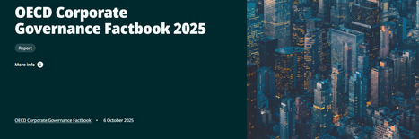 🔗 Corporate governance: frameworks shaping today&rsquo;s organisations | Leadership And Inclusive Management | Scoop.it