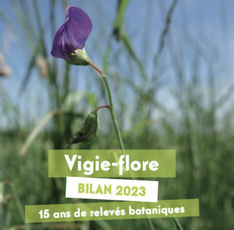 Vigie-flore, 15 ans, un bilan | Biodiversité | Scoop.it