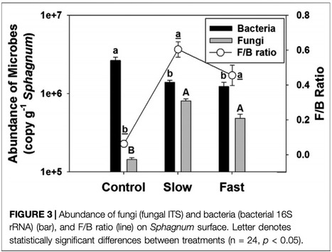 Original Paper in Front Earth Sci&nbsp;&bull; Rochefort Lab 2021 &bull; Water Table Fluctuation in Peatlands Facilitates Fungal Proliferation, Impedes Sphagnum Growth and Accelerates Decomposition | Originals | Scoop.it