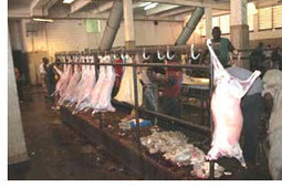 Abattoir frigorifique de Sabalibougou : Vers le grand changement (Mali) | La Gazette des abattoirs | Scoop.it