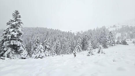 Un week-end bien hivernal | Vall&eacute;es d'Aure & Louron - Pyr&eacute;n&eacute;es | Scoop.it