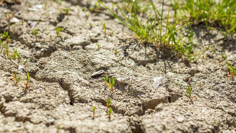 Réchauffement climatique : la France doit se préparer à +4 °C, bien au-dessus de la moyenne mondiale qui serait de +3 °C | [Wudo] Corporate Transformation | Scoop.it