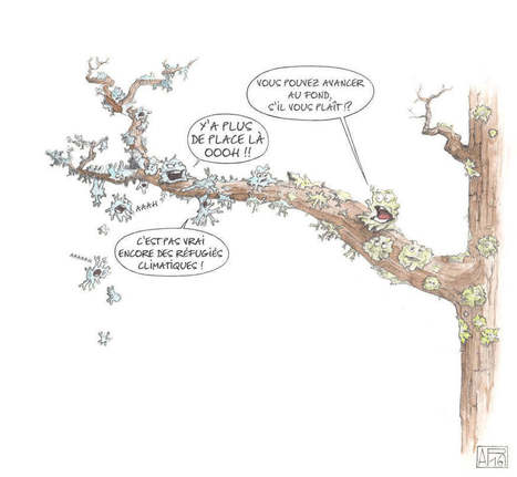 Les lichens, de précieux alliés pour évaluer le changement climatique - DEFI-Écologique : le blog | Biodiversité | Scoop.it