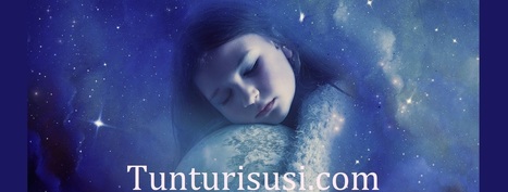 Tunturisusi.com | 1Uutiset - Lukemisen tähden | Scoop.it