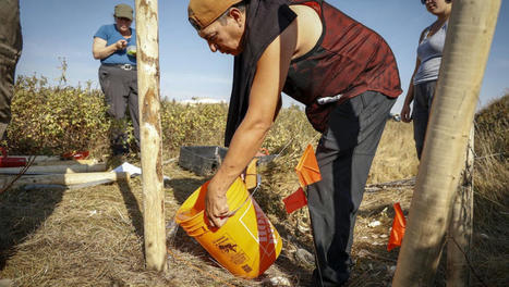 First Nations team with environmentalists to combat climate change | CTV News | Bridging the Gaps | Scoop.it
