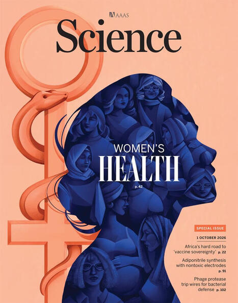 Rethinking Immunity: How the Immune System Shapes Motherhood We have long understood the immune system as a system of defense: protecting us from infection and, when dysregulated, contributing to&hellip;... | Immunology | Scoop.it