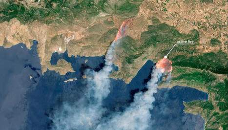 Feux de for&ecirc;t : comment les satellites permettent de surveiller les incendies depuis l'espace | T&eacute;l&eacute;d&eacute;tection veille IST INRAE & AgroParisTech | Scoop.it