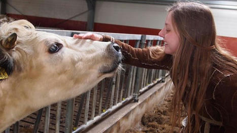 R&eacute;sultats du projet Cow Forme sur le travail en &eacute;levage bovin laitier | Actualit&eacute;s de l'&eacute;levage | Scoop.it