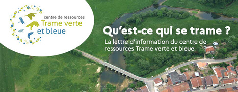 "Qu'est-ce qui se trame?" Lettre d'infos du Centre de ressources Trame verte & bleue - N°46 Avril 2024 | Biodiversité | Scoop.it