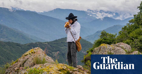 Viva Zapotec! A thriving ecotourism project in Mexico’s Oaxaca state | Mexico holidays | The Guardian | Tourisme Durable - Slow | Scoop.it