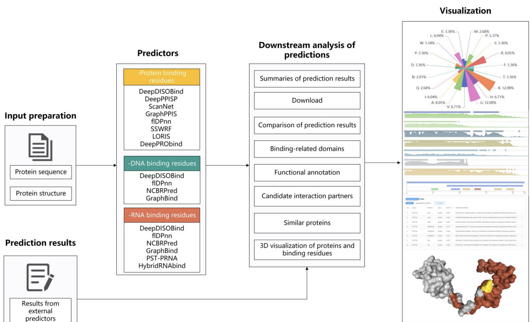 PROBind: A Web Server for Prediction, Analysis ...