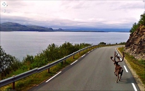 The Nine Eyes of Google Street View: a photo project by Jon Rafman - Telegraph | cross pond high tech | Scoop.it