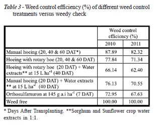 Weed management boosts yield in fine rice under system of rice intensification | SRI Global News ++ March - May 2025    System of Rice Intensification (SRI) | Scoop.it