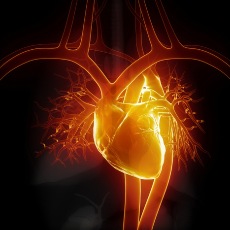 Optogenetic manipulation of anatomical re-entry by light-guided generation of a reversible local conduction block | Cardiovascular Research  | Vectorology - GEG Tech top picks | Scoop.it