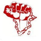 La conqu&ecirc;te spatiale vue de l'Afrique (VIDEO) | Actualit&eacute;s Afrique | Scoop.it