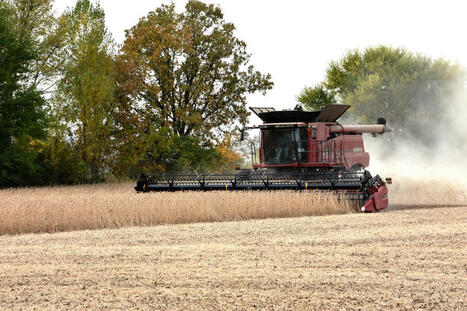 Soybean disease with no cure was detected in Minnesota for first time - Albert Lea Tribune | Operation Deimos | Scoop.it