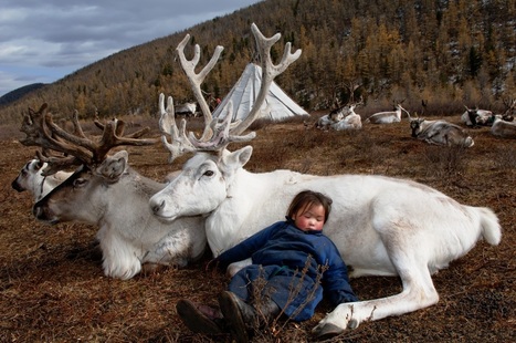 Photography by Hamid Sadar in Mongolia | World Arts | Scoop.it