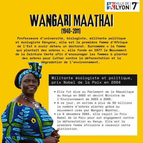 Une nouvelle école de Lyon 7e portera le nom de la Kenyane Wangari MAATHAI | Insect Archive | Scoop.it