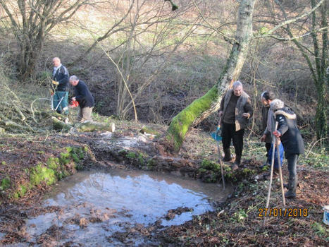 En Charente, des habitants se mobilisent pour restaurer les mares | Biodiversité | Scoop.it