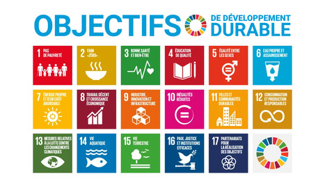 Quelles actions RSE pour transformer le modèle d’affaires de l’entreprise ? Quel avenir pour les ODD, 5 ans avant l’échéance de l’Agenda 2030 ? | GRIEPS | Scoop.it