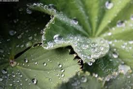 Tipahdella | 1Uutiset - Lukemisen t&auml;hden | Scoop.it