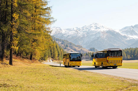 Un aller-retour gratuit dans les parcs suisses | (Macro)Tendances Tourisme & Travel | Scoop.it