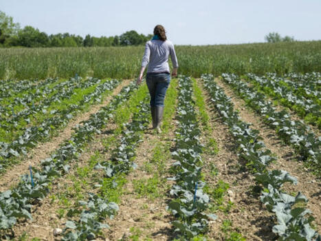 Déploiement des dispositifs de la planification écologique et du plan de souveraineté fruits et légumes | FranceAgriMer | HORTICULTURE | Scoop.it
