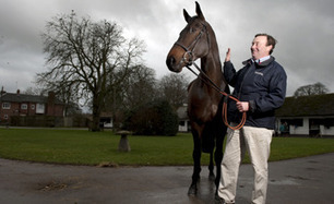 Visitors set to flock to popular open days - Horse Racing News | Racing Post | Racing News | Scoop.it