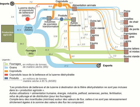 Quantifier et segmenter les flux de matières premières utilisées en France par l’alimentation animale | Lait de Normandie... et d'ailleurs | Scoop.it