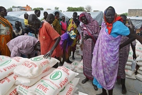 SOUTH SUDAN | Airdrops Aim to Ease Suffering | WFP | Food & Nutrition Security in East Africa | Scoop.it