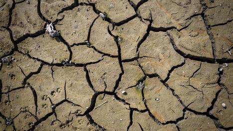 CARTE - Sécheresse et restrictions d'eau : quels sont les 73 départements en état d'alerte ou de crise ? | GREENEYES | Scoop.it