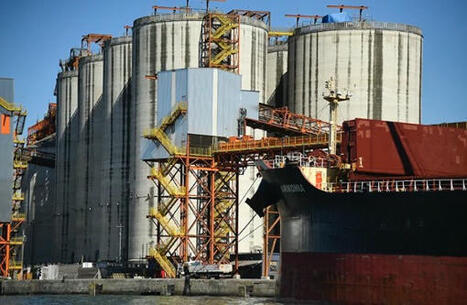 SovEcon lowers Russian wheat export forecast again for 2024/25 | Miller Magazine | MED-Amin network | Scoop.it