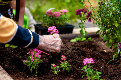 Conférence jardins thérapeutiques au service des établissements de santé : Lyon Paysalia 5- 6 -7 décembre 2017 | ESPACES VEGETALISES URBAINS | Scoop.it