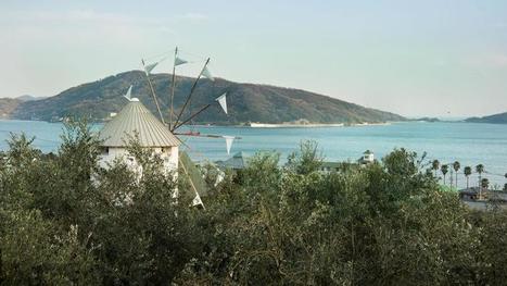 Shodoshima, l’île aux olives japonaise  | OLIVE NEWS | Scoop.it
