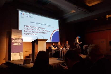 &laquo; Le Pic appelle des innovations p&eacute;dagogiques &raquo; (Carine Seiler) | Formation : Innovations et EdTech | Scoop.it