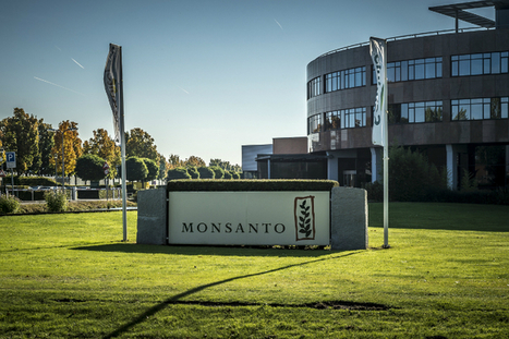 Procès Roundup : Monsanto condamné à payer 289 millions de dollars à un malade | Les Colocs du jardin | Scoop.it