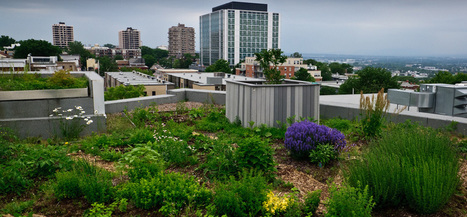 Toit végétal : la toiture écologique et isolante | Build Green, pour un habitat écologique | Scoop.it
