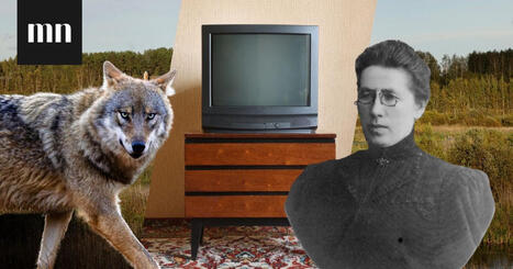 Me Naisten testi: Ovatko n&auml;m&auml; Suomi-faktat totta vai tarua? | 1Uutiset - Lukemisen t&auml;hden | Scoop.it