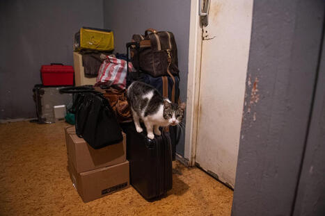 Comment expliquer que le nombre d’expulsions forcées de locataires a doublé en France depuis 2019 ? | Actu Archi-Urba-Environnement-Paysage | Scoop.it