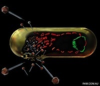 An examination of the bacteriophages and bacteri... [J Microbiol. 2008] - PubMed - NCBI | Virology News | Scoop.it