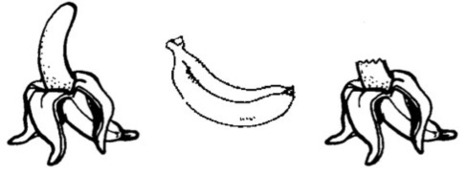 La langue que l'on parle influe-t-elle sur notre mani&egrave;re de penser ? | Caf&eacute; des Sciences | Scoop.it